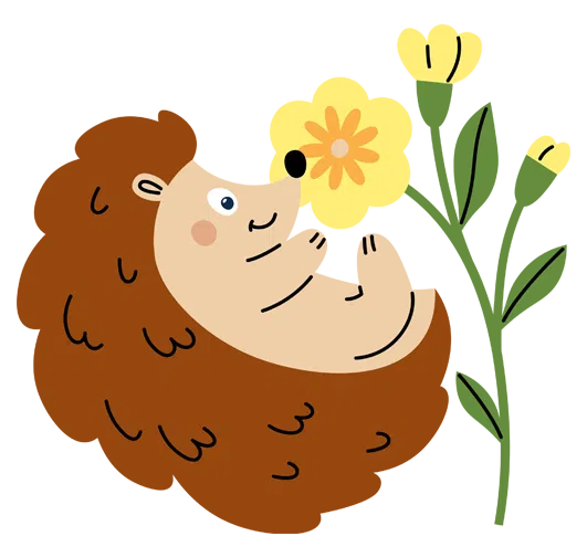 bolsterdorp-egel-met-bloem